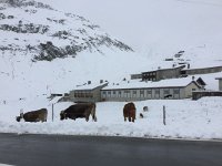 2017-09-10 12-14-04 1a277721  big barns